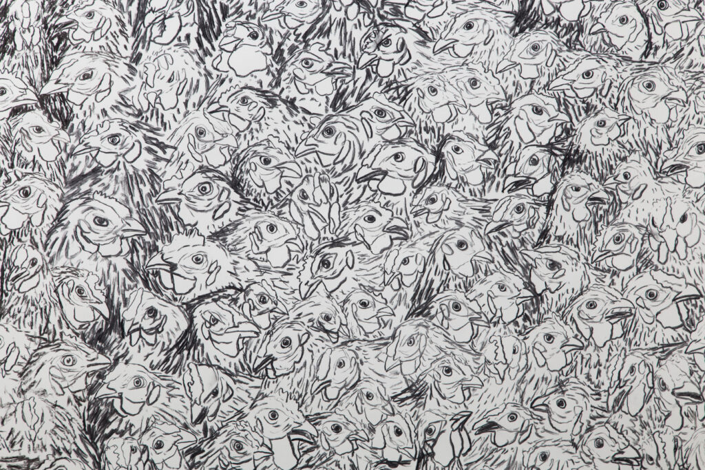 charcoal drawing of dense field of chicken heads