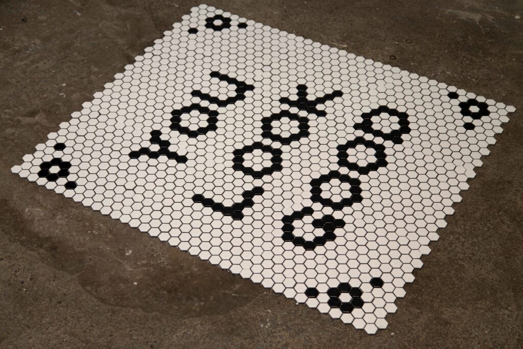 aisha-hull_16883535249_o