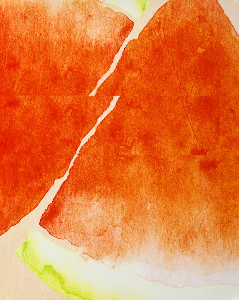 abstracted orange slice print detail