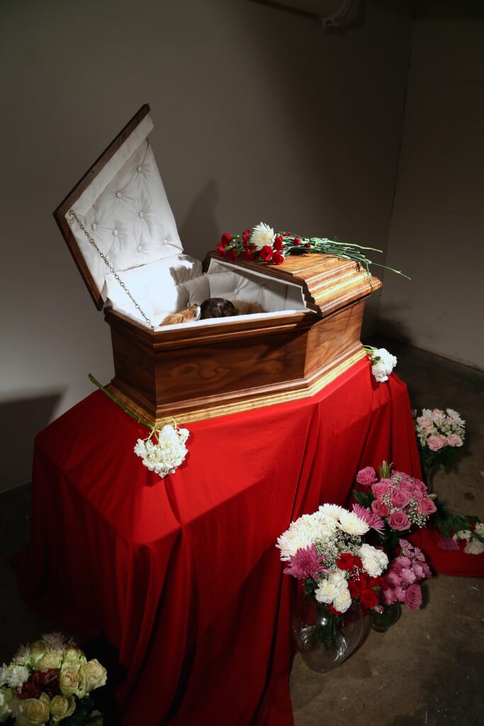 open casket with taxidermy animal inside and flowers on top and around