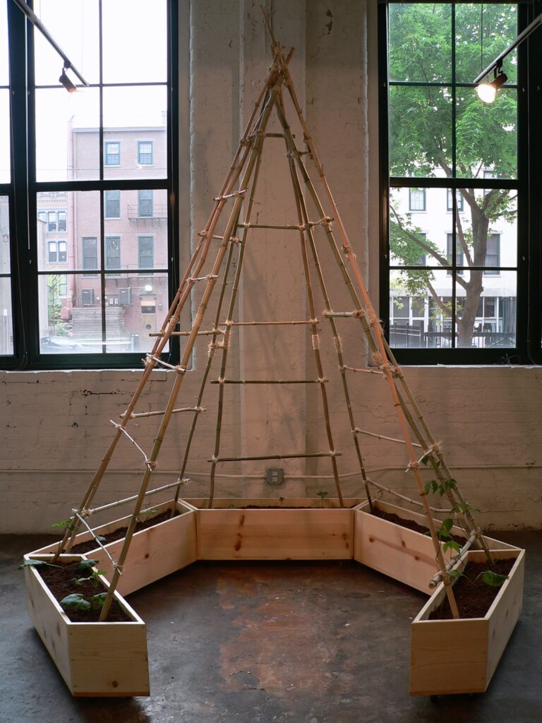 bamboo poles rising from partial hexagon of planter boxes and tied together to form an open pyramid