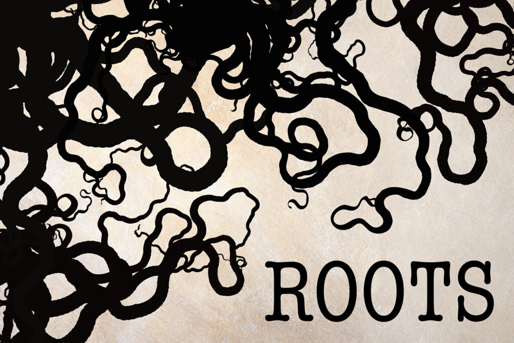 An image of roots